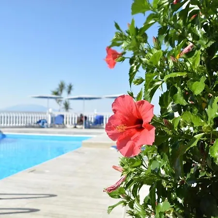 Lejlighedshotel Clear Horizon 4*