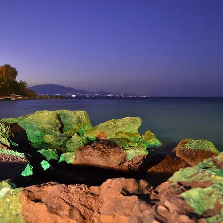 明朗地平线酒店