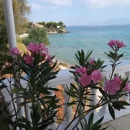 Clear Horizon Ammoudi